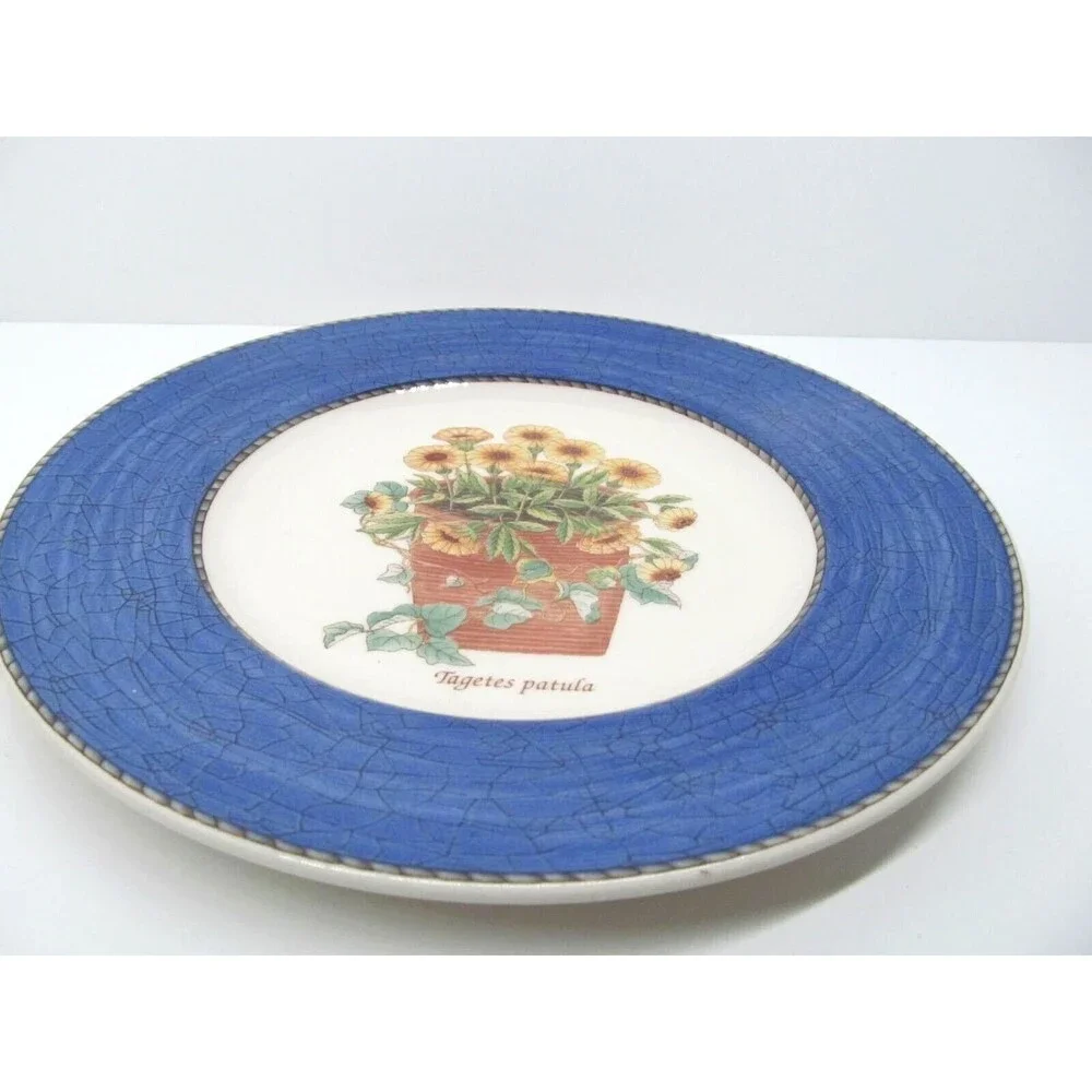 Wedgwood Queen's Ware England Sarah's Garden Tagetes patula Salad Plate 8